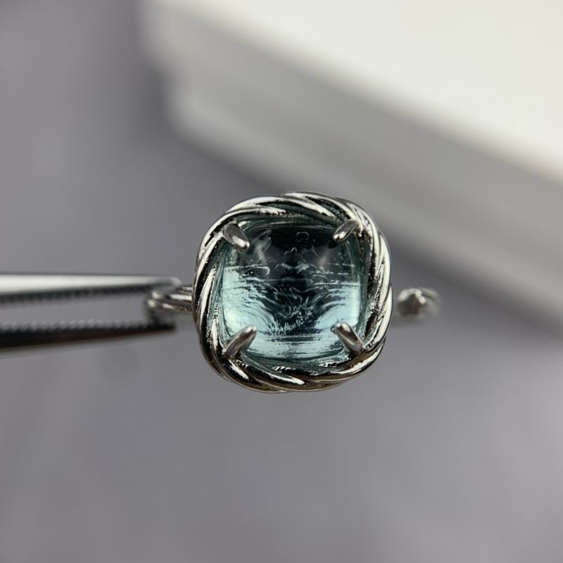 Celine Ring 05lyr13 (34)