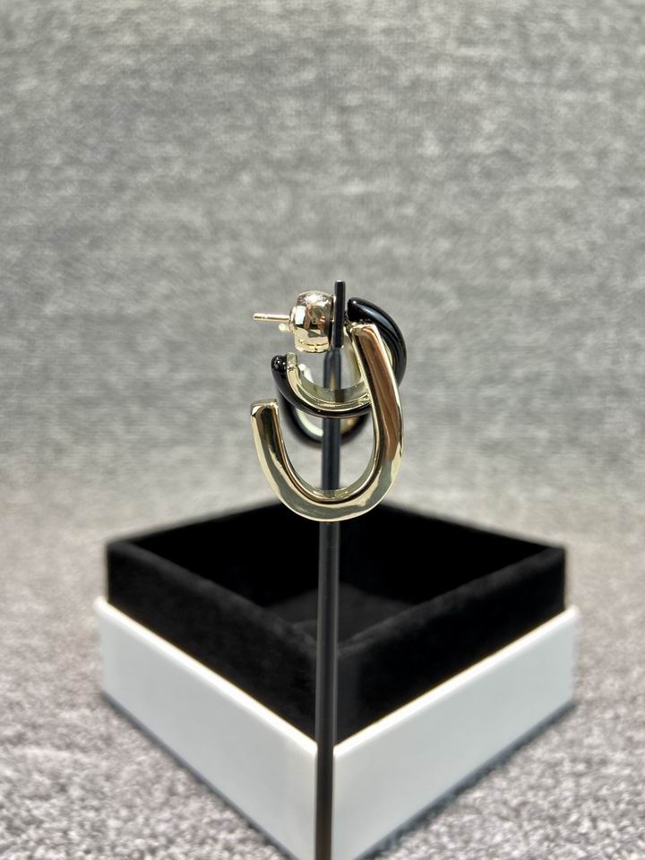 Givenchy earring 05lyh09 (5)