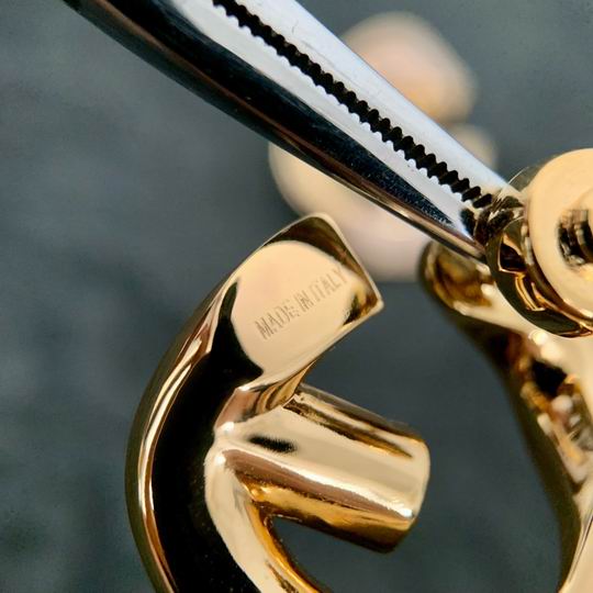 Givenchy earring 05lyh14 (5)