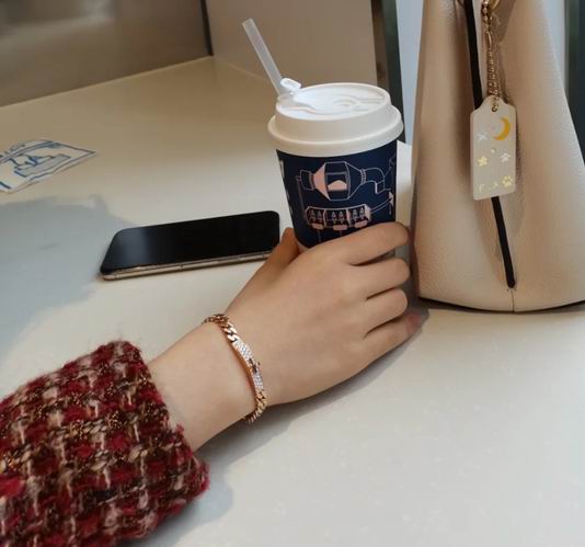 Hermes Bracelet 04lyh59 (6)