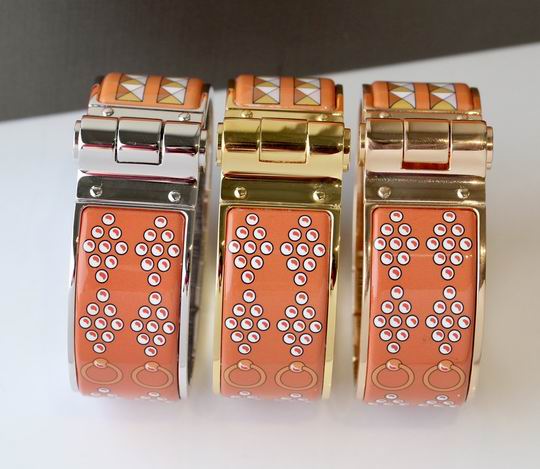 Hermes Bracelet 05lyh100 (19)