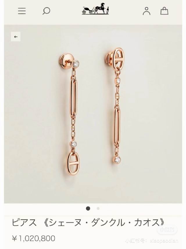 Hermes Earring 04lyh22 (1)