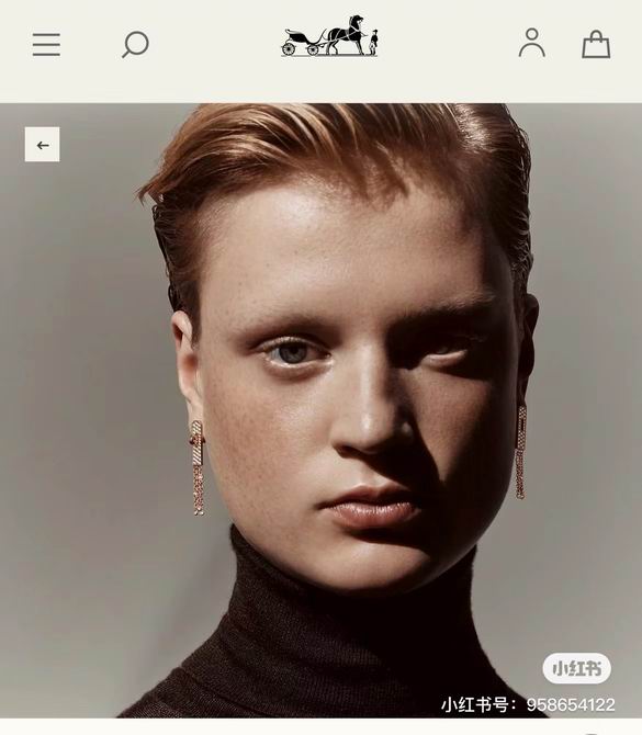 Hermes Earring 04lyh28 (2)