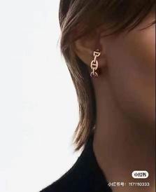 Hermes Earring 05lyh31 (12)