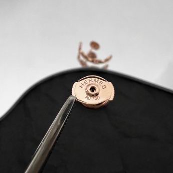 Hermes Earring 05lyh31 (19)