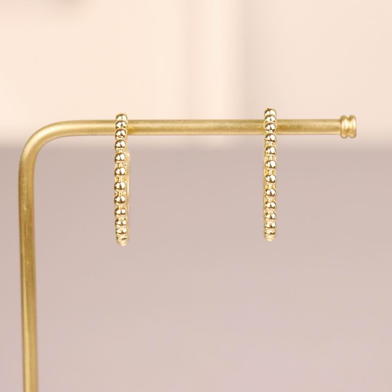 Loewe earring 04lyx36 (7)