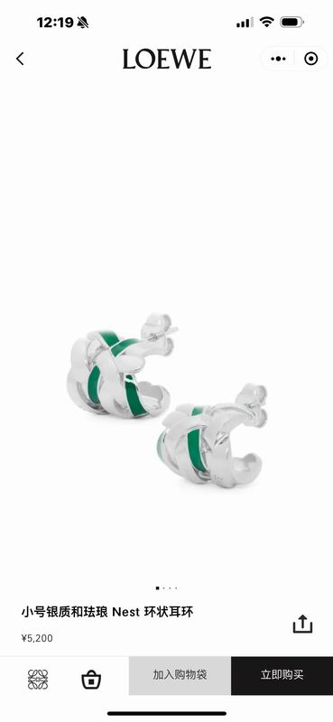Loewe earring 06lyx77 (2)