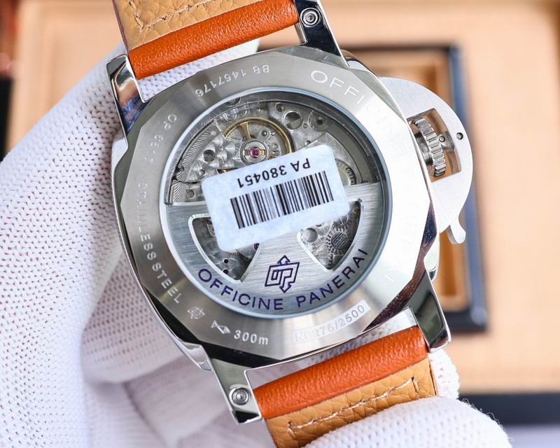 Panerai watch 37 (22)