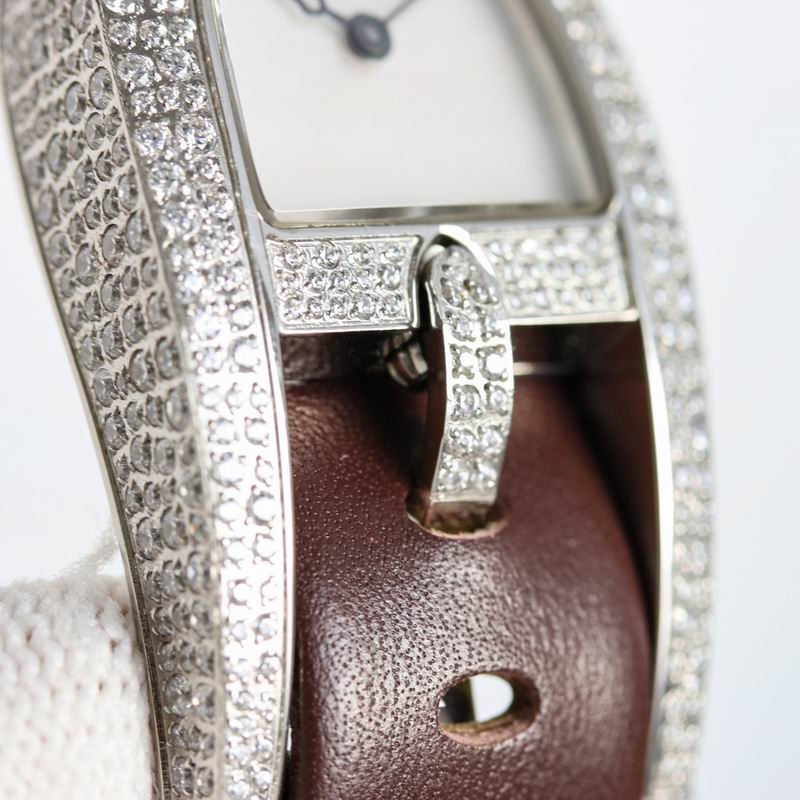 Vacheron Constantin watch (3)