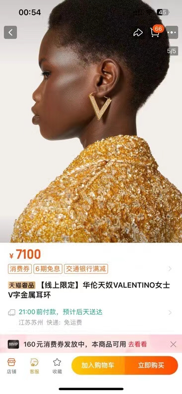 Valentino earring 05lyx72 (10)