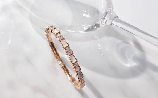 Bvlgari bracelet 03lyh06 (1)