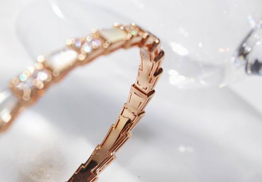 Bvlgari bracelet 03lyh06 (5)