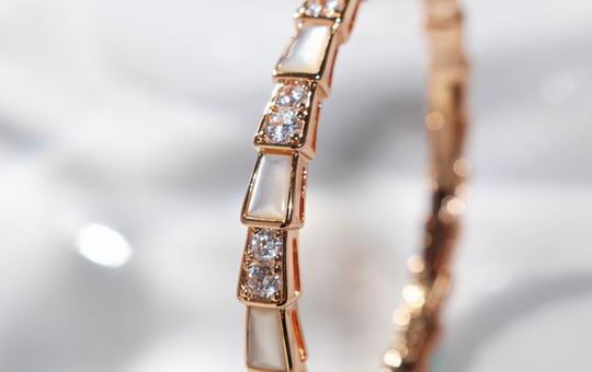 Bvlgari bracelet 03lyh06 (6)