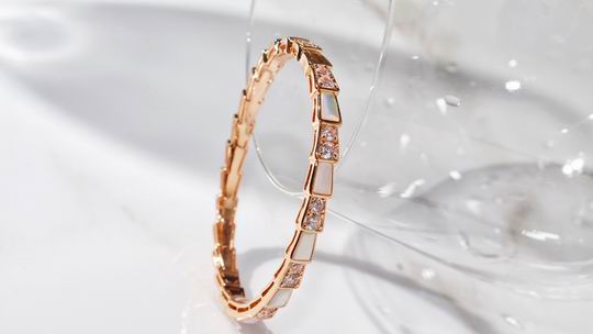 Bvlgari bracelet 03lyh06 (9)