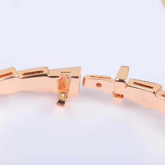 Bvlgari bracelet 03lyh14 (6)