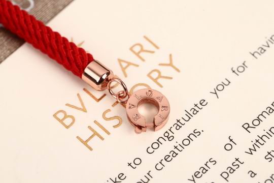 Bvlgari bracelet 03lyh19 (2)