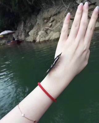 Bvlgari bracelet 03lyh19 (7)