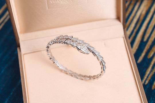 Bvlgari bracelet 03lyh21 (2)