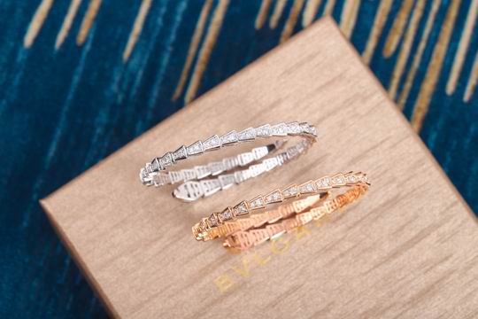 Bvlgari bracelet 03lyh21 (3)