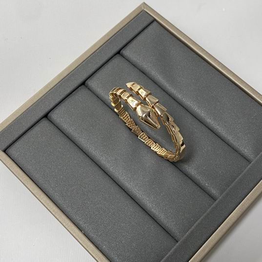 Bvlgari bracelet 03lyh23 (6)