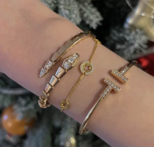 Bvlgari bracelet 04lyh35 (4)