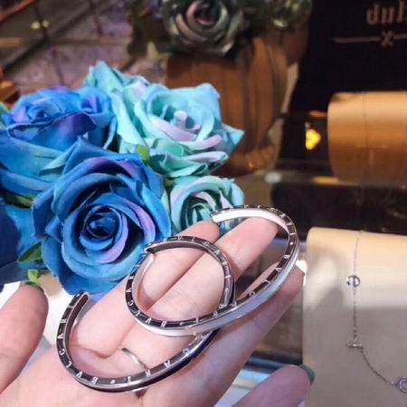 Bvlgari bracelet 04lyh38 (1)