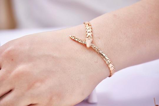 Bvlgari bracelet 04lyh49 (2)