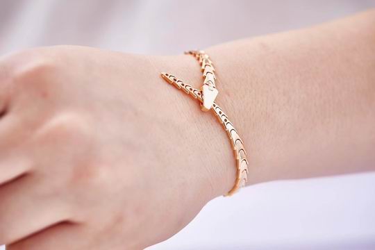 Bvlgari bracelet 04lyh49 (3)