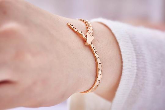 Bvlgari bracelet 04lyh49 (4)