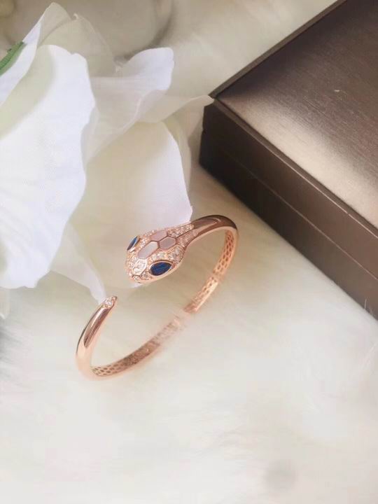 Bvlgari bracelet 04lyh51 (1)