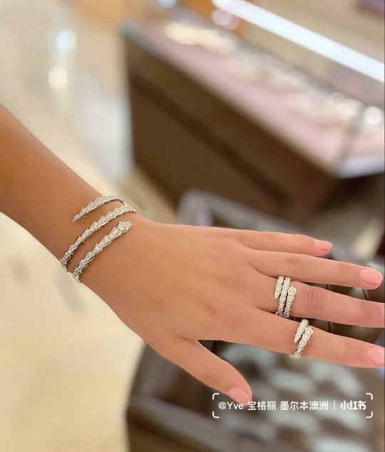 Bvlgari bracelet 05lyh55 (2)