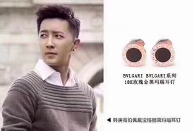 Bvlgari earring 03lyh13 (6)