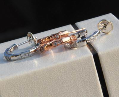 Bvlgari earring 03lyh14 (5)