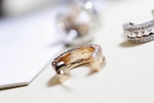 Bvlgari earring 03lyh20 (7)