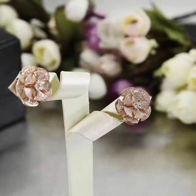 Bvlgari earring 03lyh23 (7)