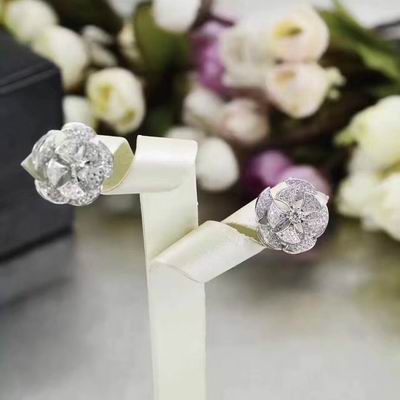 Bvlgari earring 03lyh23 (8)