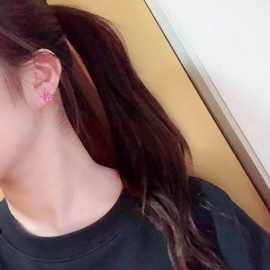 Bvlgari earring 03lyh24 (6)