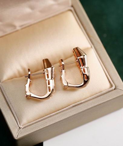 Bvlgari earring 04lyh29 (3)
