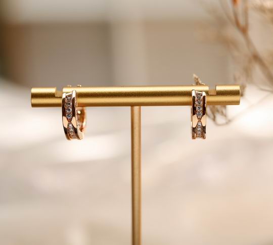 Bvlgari earring 04lyh31 (6)