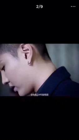 Bvlgari earring 04lyh46 (6)