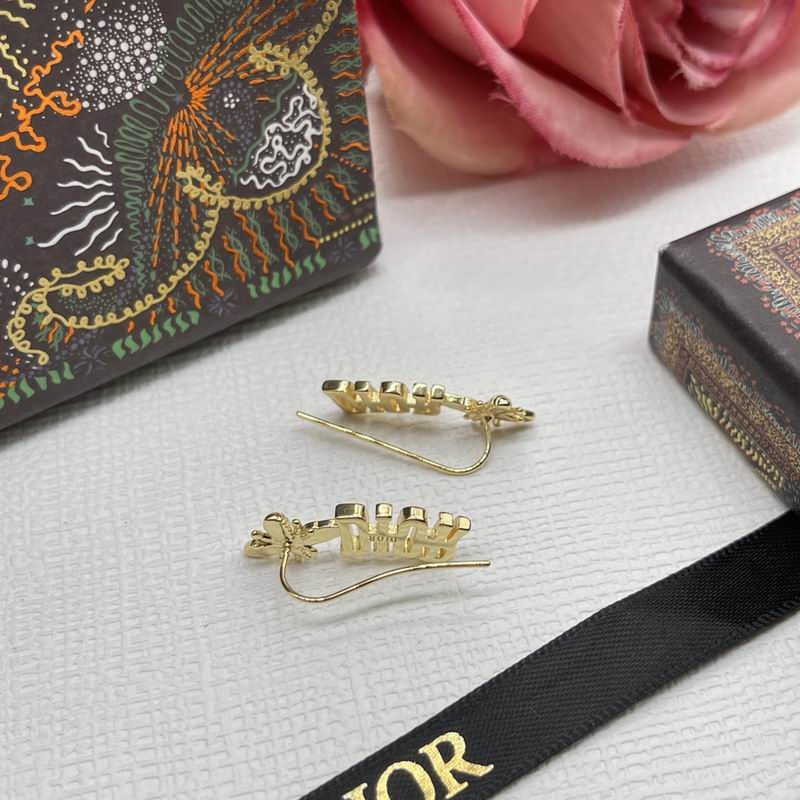 Dior Brooch 05lyr39 (6)