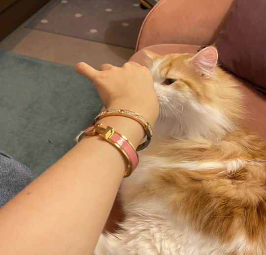 Hermes Bracelet 06lyh140 (8)