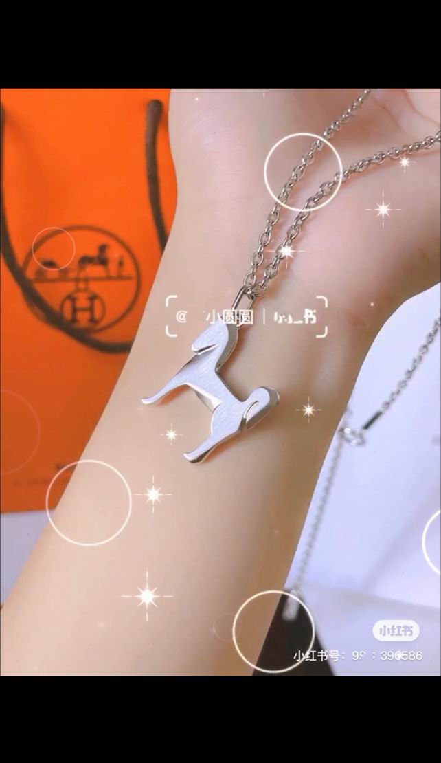 Hermes Necklace 06lyh106 (7)