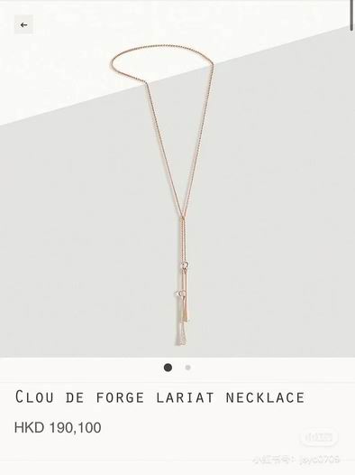 Hermes Necklace 06lyh108 (8)
