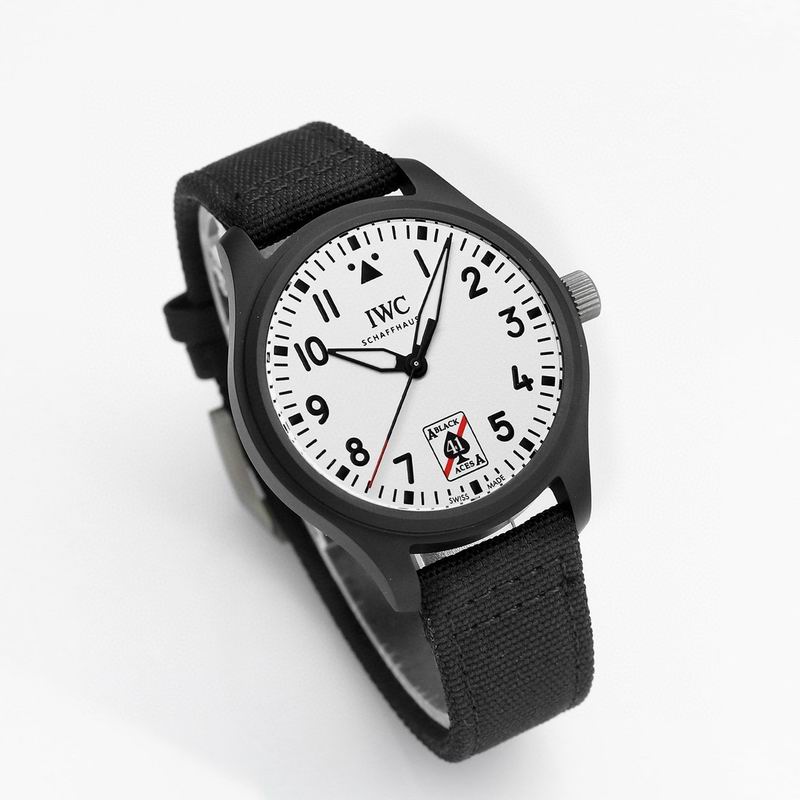 IWC watch 40 (6)