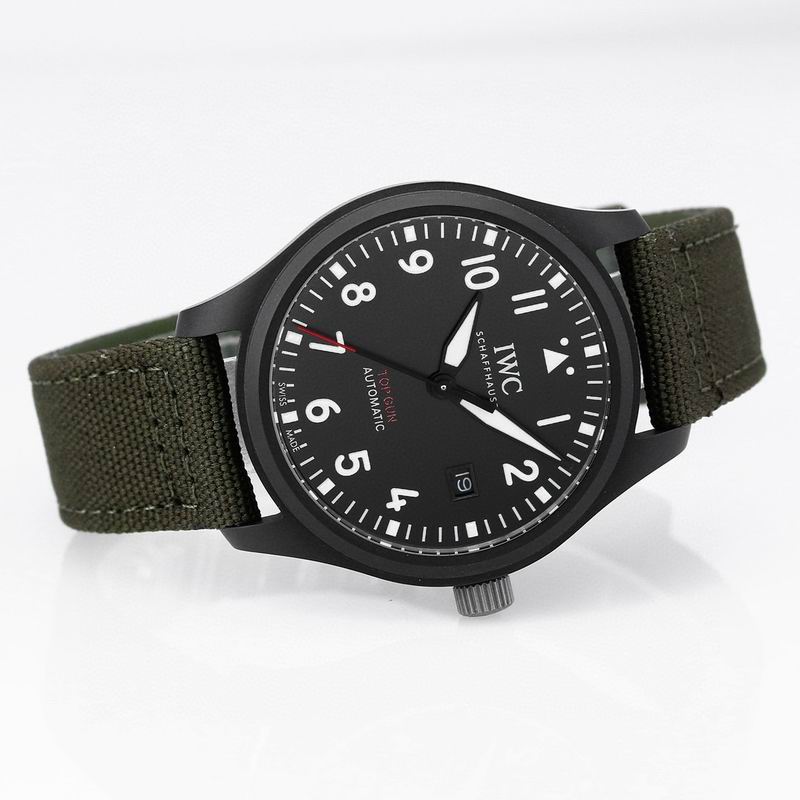 IWC watch 41 (5)