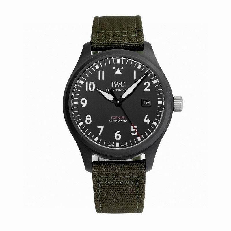 IWC watch 41 (8)