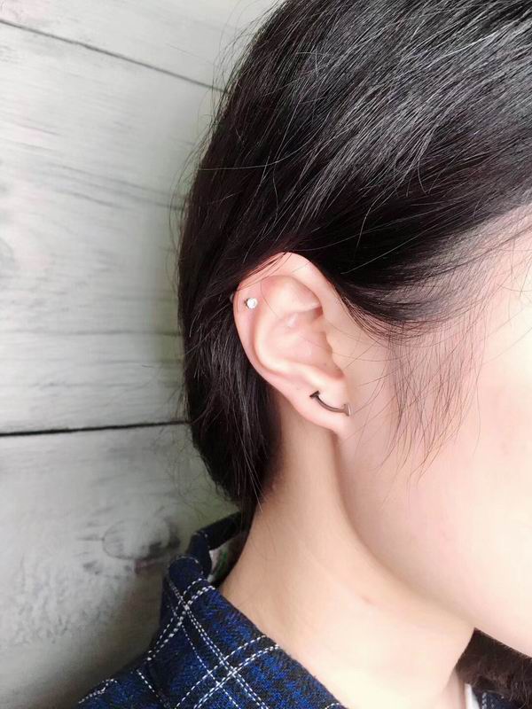 Tiffany earring 03lyx25 (5)