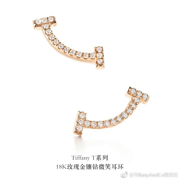 Tiffany earring 03lyx28 (1)