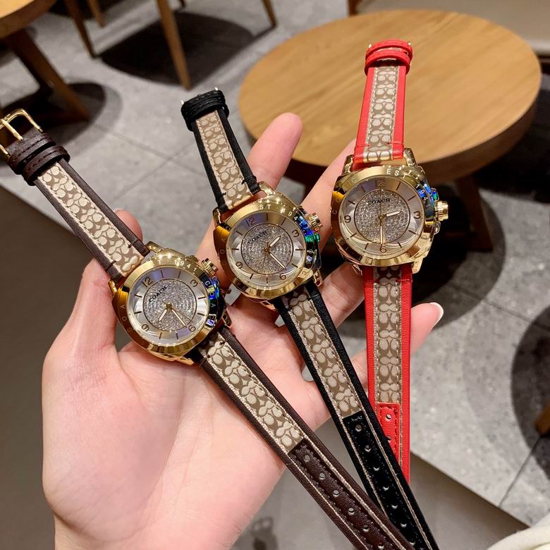 Coach watch